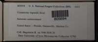 Image Associated With the Occurence